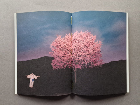 Ursa Major - Setanta Books