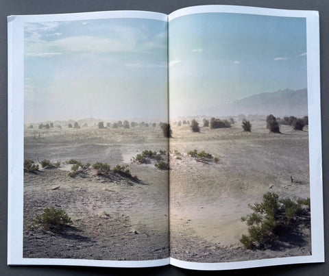 USA.USA.USA. - Setanta Books