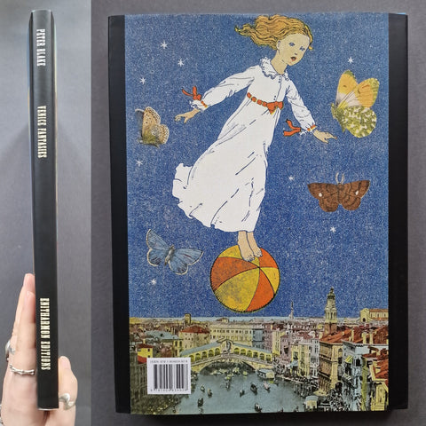 Venice Fantasies - Setanta Books