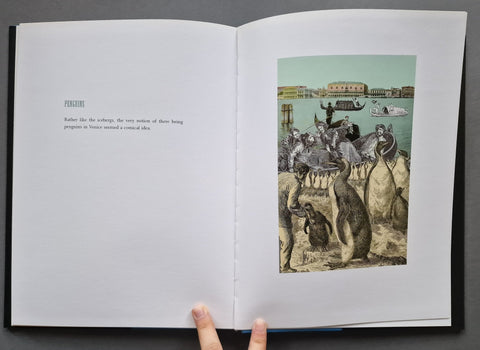 Venice Fantasies - Setanta Books