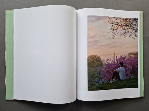Verdigris / Ambergris - Setanta Books