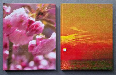 Verdigris / Ambergris - Setanta Books