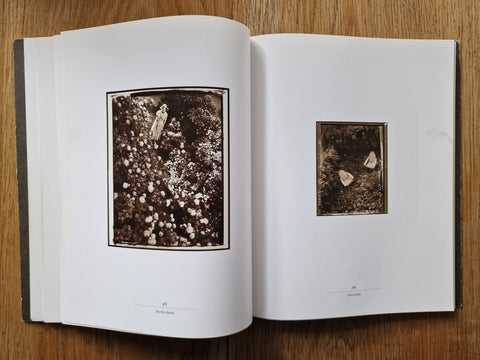 Vrais Semblants: Photographies de Sarah Moon - Setanta Books