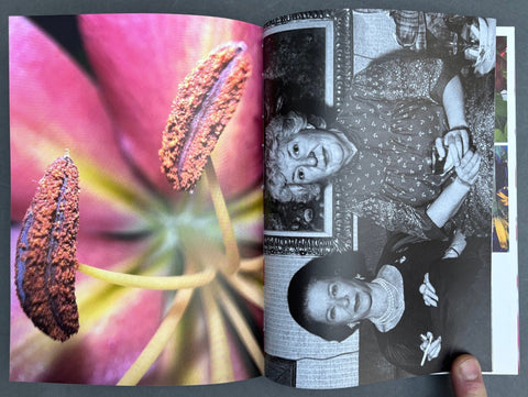 What if Jeff were a Butterfly? - Setanta Books