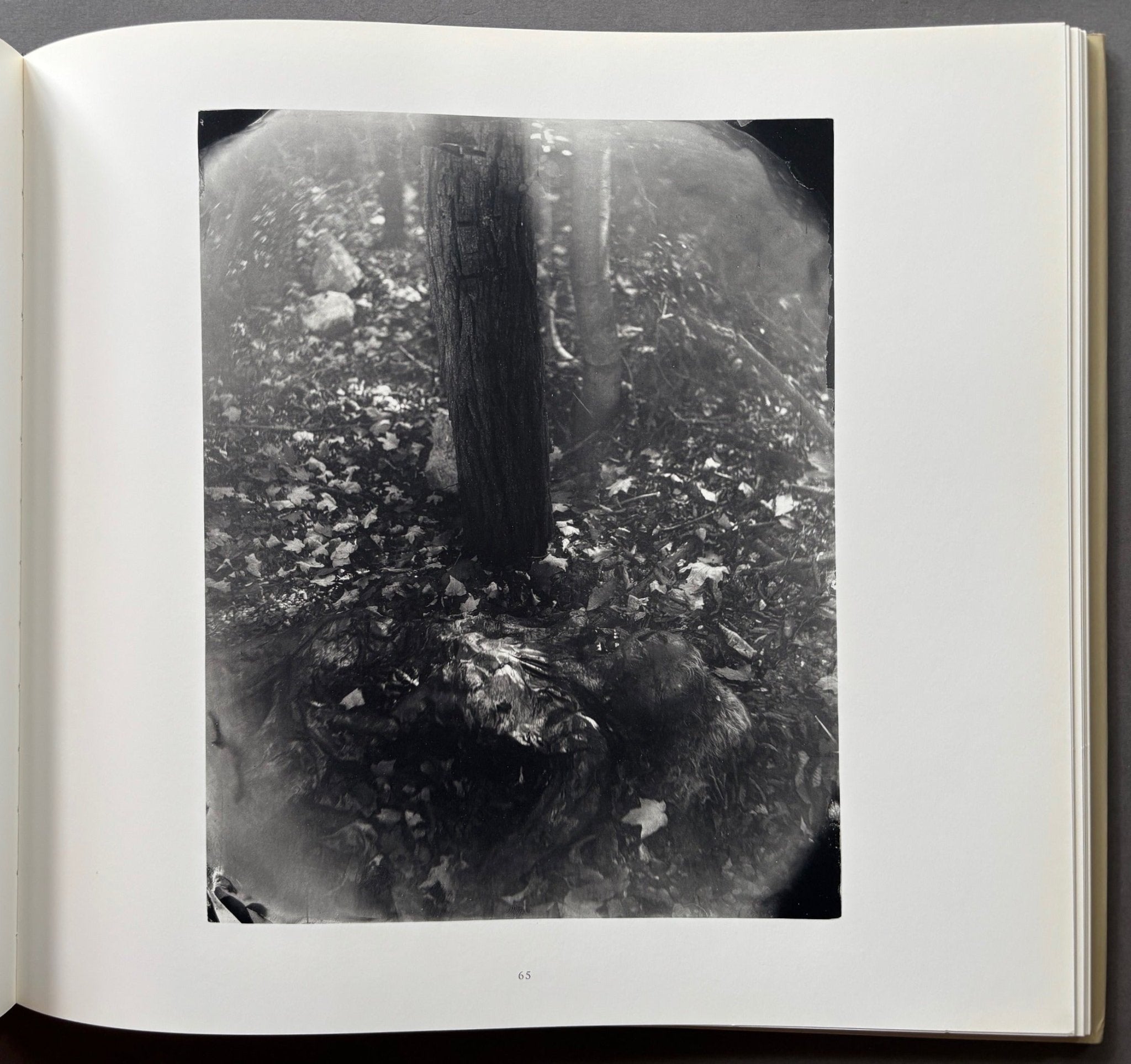 Buy What Remains by Sally Mann – Setanta Books