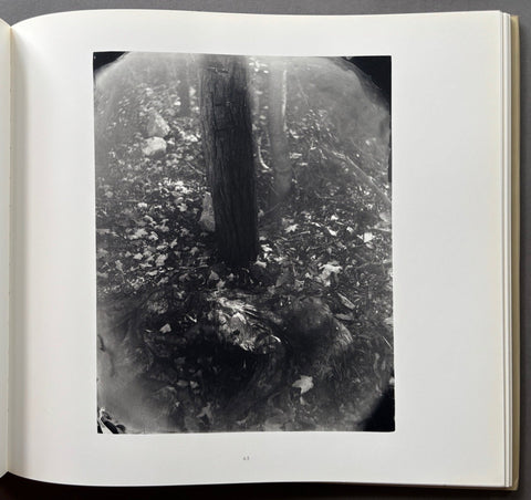 What Remains - Setanta Books