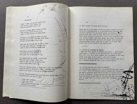 Who Killed Dylan Thomas?