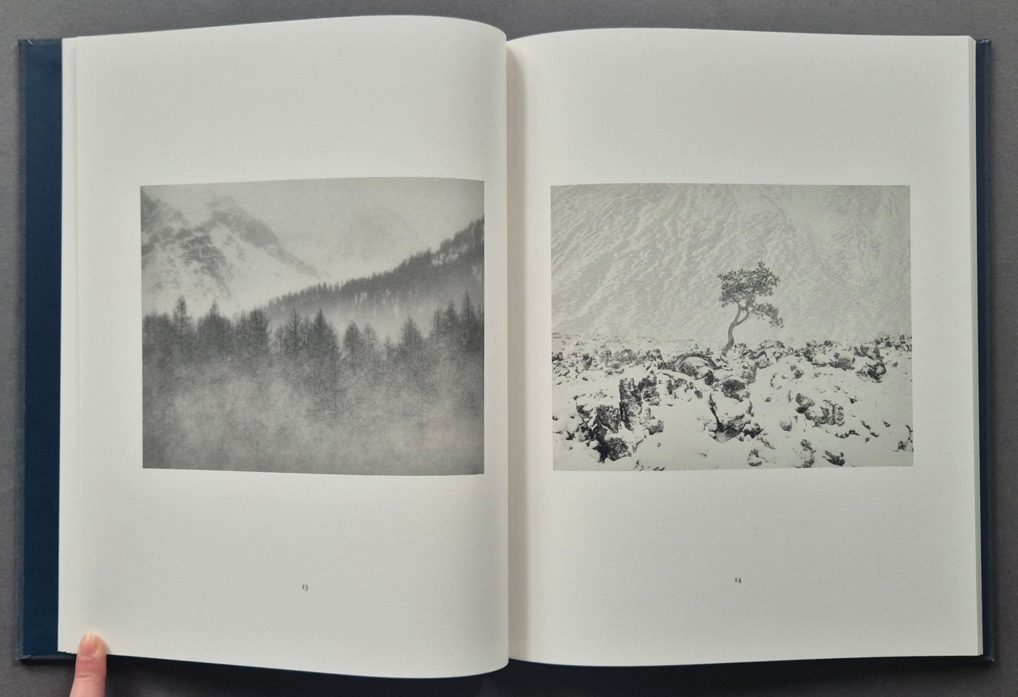 Buy Winter by Jeffrey Conley online – Setanta Books