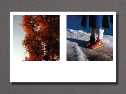 Winter Light - Setanta Books