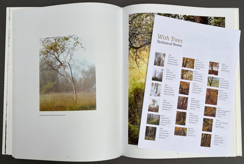 With Trees: Photography by Dav Thomas - Setanta Books