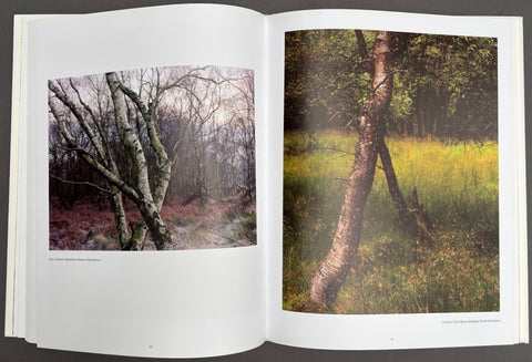 With Trees: Photography by Dav Thomas - Setanta Books