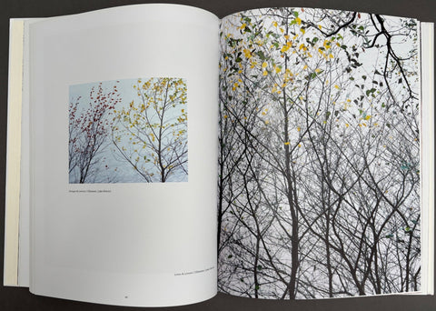 With Trees: Photography by Dav Thomas - Setanta Books