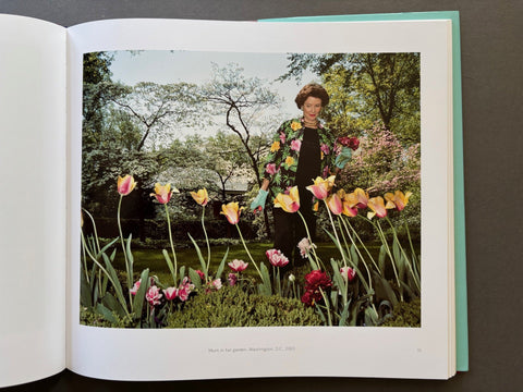 Witness to Beauty - Setanta Books