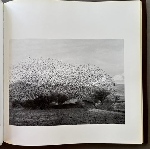 Witnesses of Time - Setanta Books