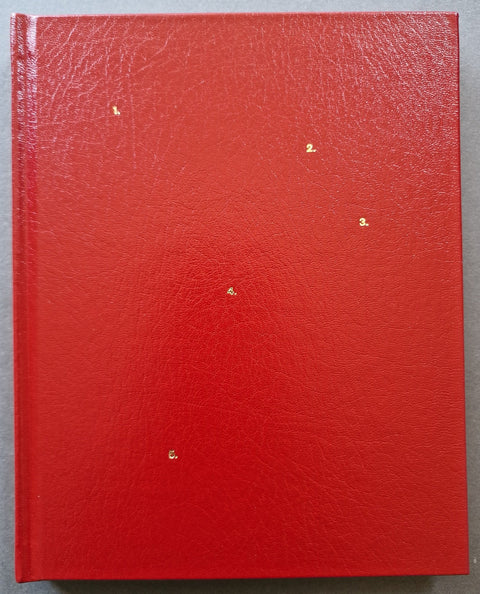 Woman Wearing Ring Shields Face From Flash - Setanta Books