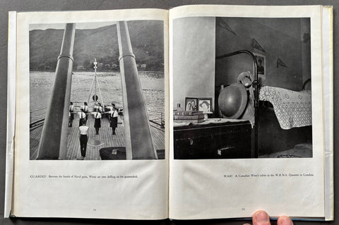 Wrens In Camera - Setanta Books