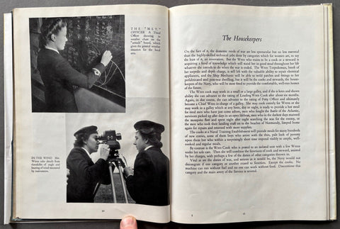 Wrens In Camera - Setanta Books