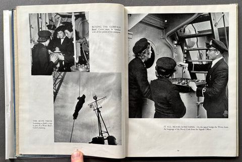 Wrens In Camera - Setanta Books