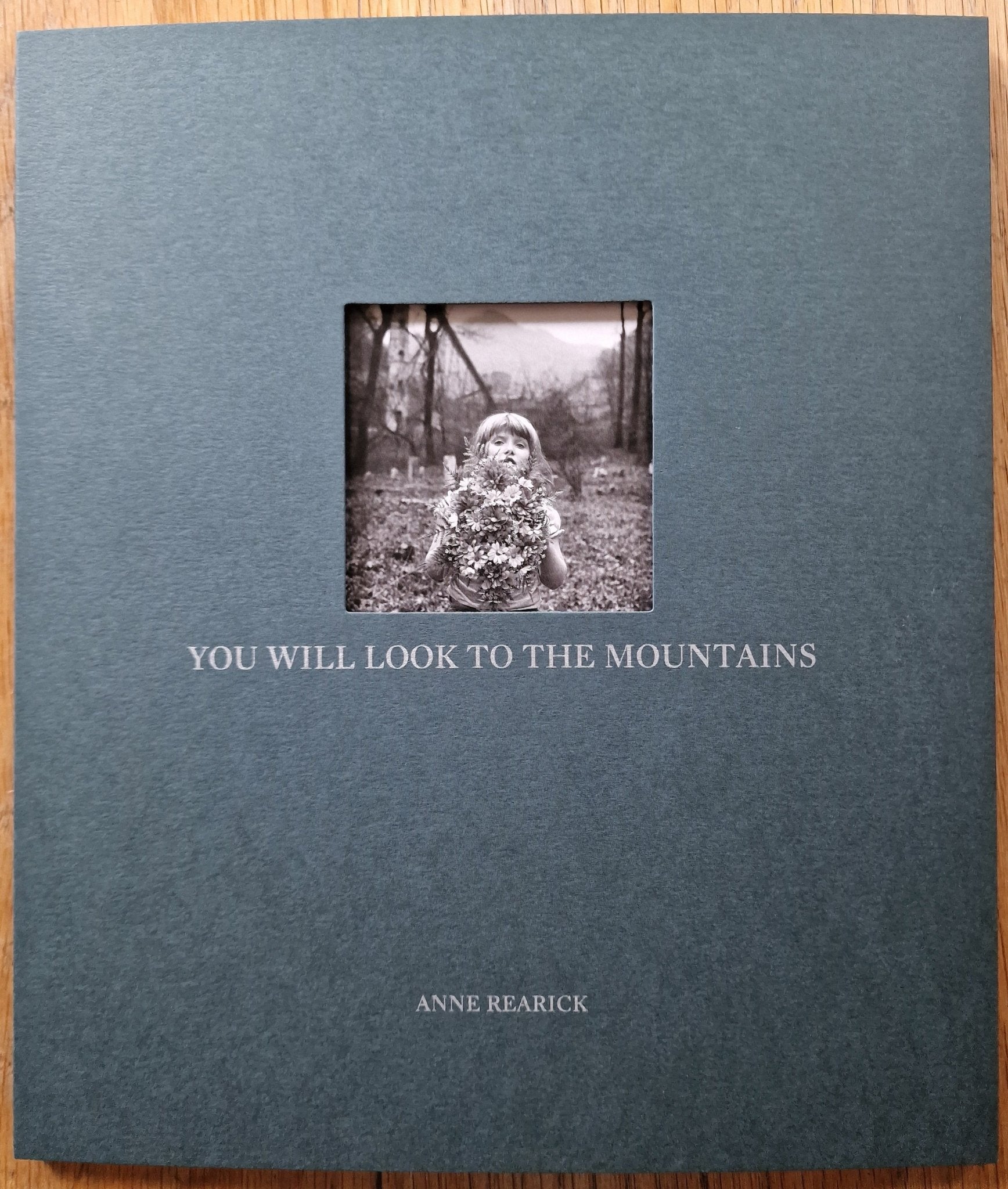 Buy You Will Look To The Mountains by Anne Rearick Online – Setanta Books