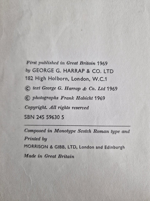 Young London: Permissive Paradise - Setanta Books