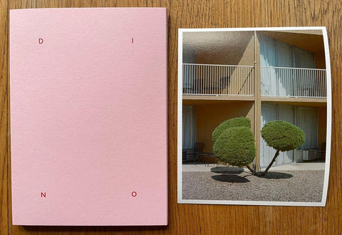 005 – Dino Kuznik - Special Edition (5 Print Options) - Setanta Books
