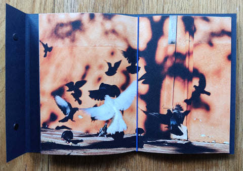 010 - Mirko Saviane - Setanta Books