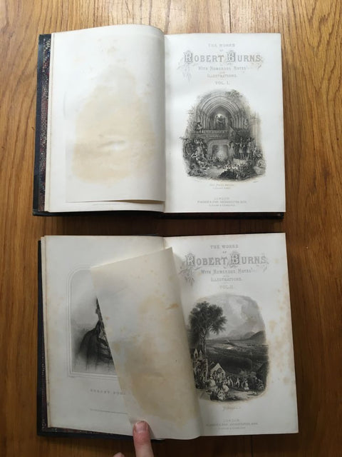 The works of Robert Burns with numerous notes and Illustrations