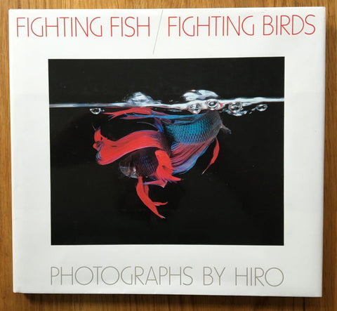 Fighting Fish / Fighting Birds