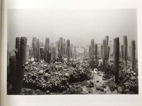Dioramas