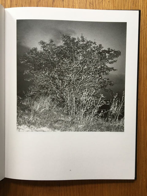 A Glass Darkly