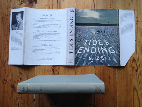 Tide's Ending