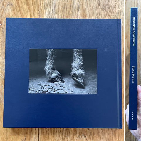 Some Say Ice (1st Edition)