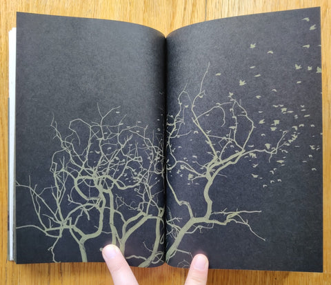 4 a.m. - Setanta Books