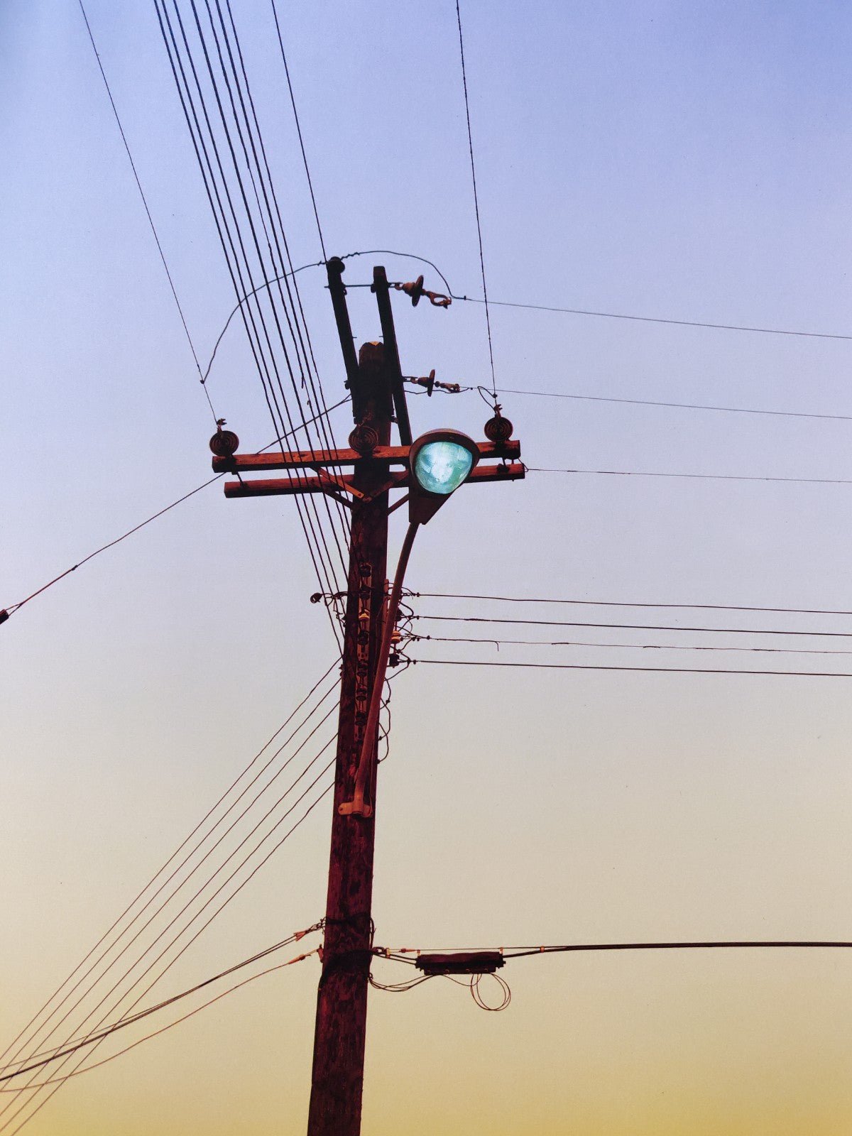 5x7 by William Eggleston | Photography | Setanta Books