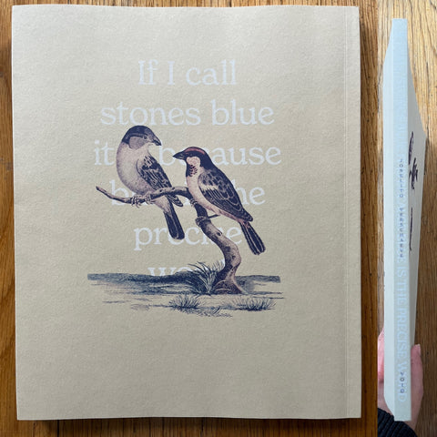 If I call Stones Blue, It Is Because Blue Is the Precise Word