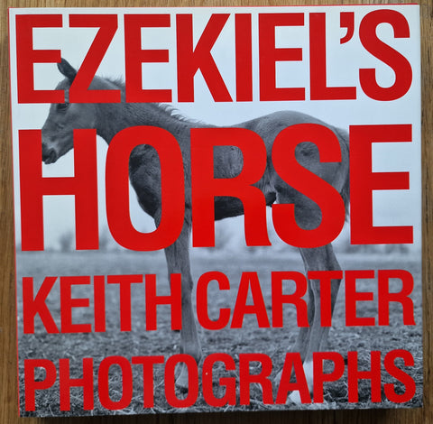 Ezekiel's Horse