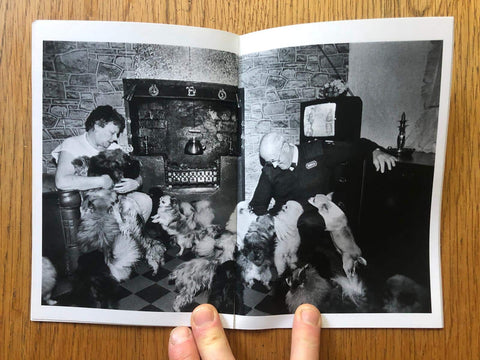 Puppy Farming Wales 1980s