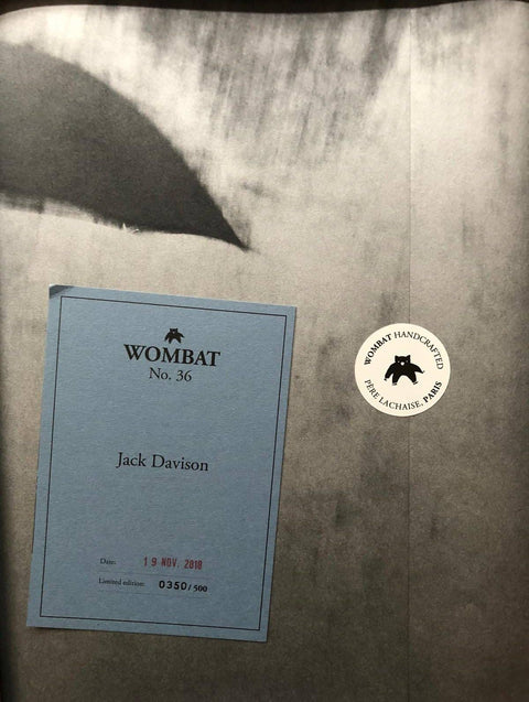 Jack Davison: Wombat No. 36 Art Box