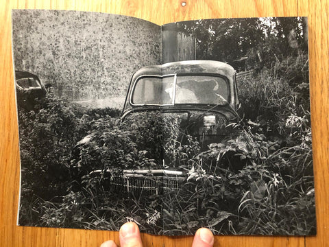 Abandoned Morris Minors of the West of Ireland