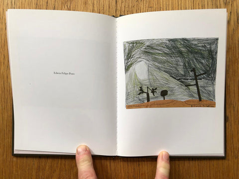 Crooked Cracked Tree in Fog (One Picture Book)