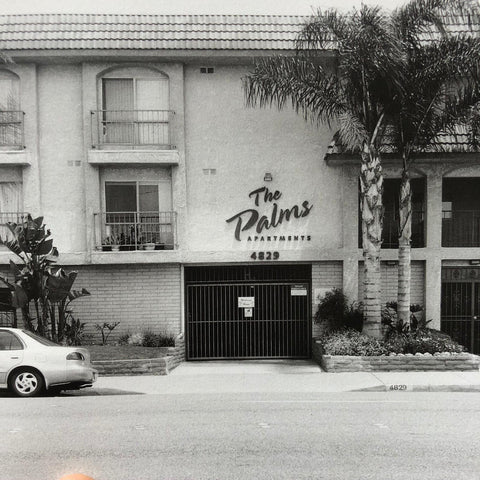 Palms Capri