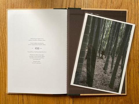 A Walk Through A Bamboo Grove, Hokoku-ji, Kamakura, Kanagawa, Japan (One Picture Book)