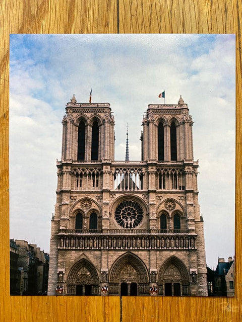 One Picture Book Set: Notre-Dame de Paris, A Walk Through A Bamboo Grove, Captains of the Dead Sea, Untitled #11856-0820