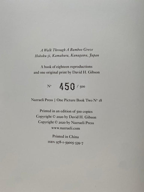 One Picture Book Set: Notre-Dame de Paris, A Walk Through A Bamboo Grove, Captains of the Dead Sea, Untitled #11856-0820