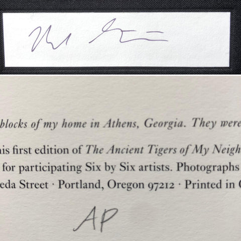 SIX BY SIX | Set 1: East Baltimore, Motel Club, Amwell, Machu Picchu, The Ancient Tigers of my Neighborhood, Expressways 1986