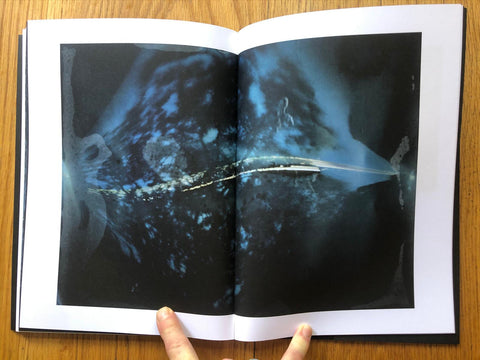Solargraphs (Limited Print Edition)