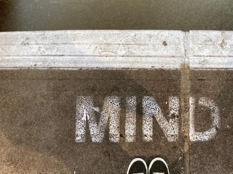 The Selfeet (Zine Collection 21)