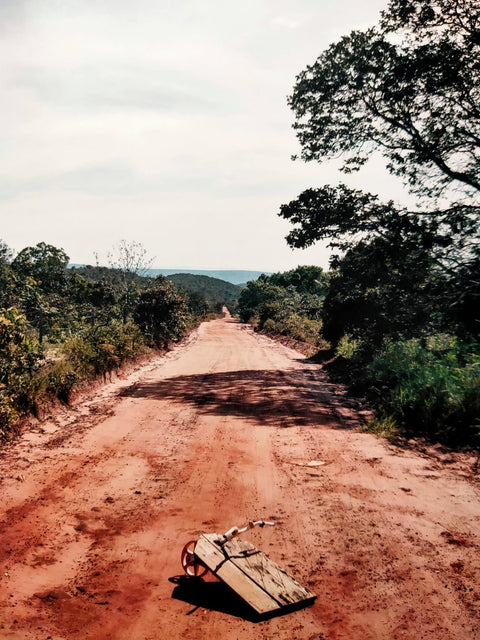 Fordlandia 9