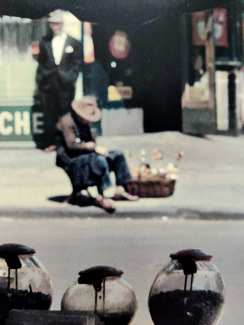 Saul Leiter