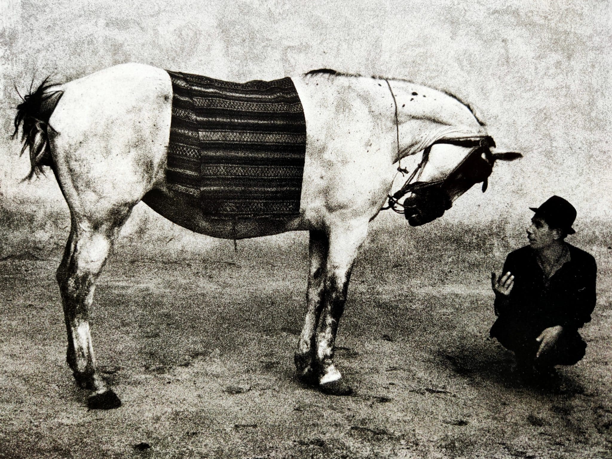 Koudelka – Setanta Books